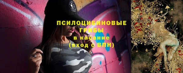 прущие крисы Алексеевка
