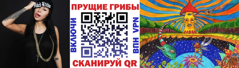 купить наркоту  Камешково  Псилоцибиновые грибы мухоморы 